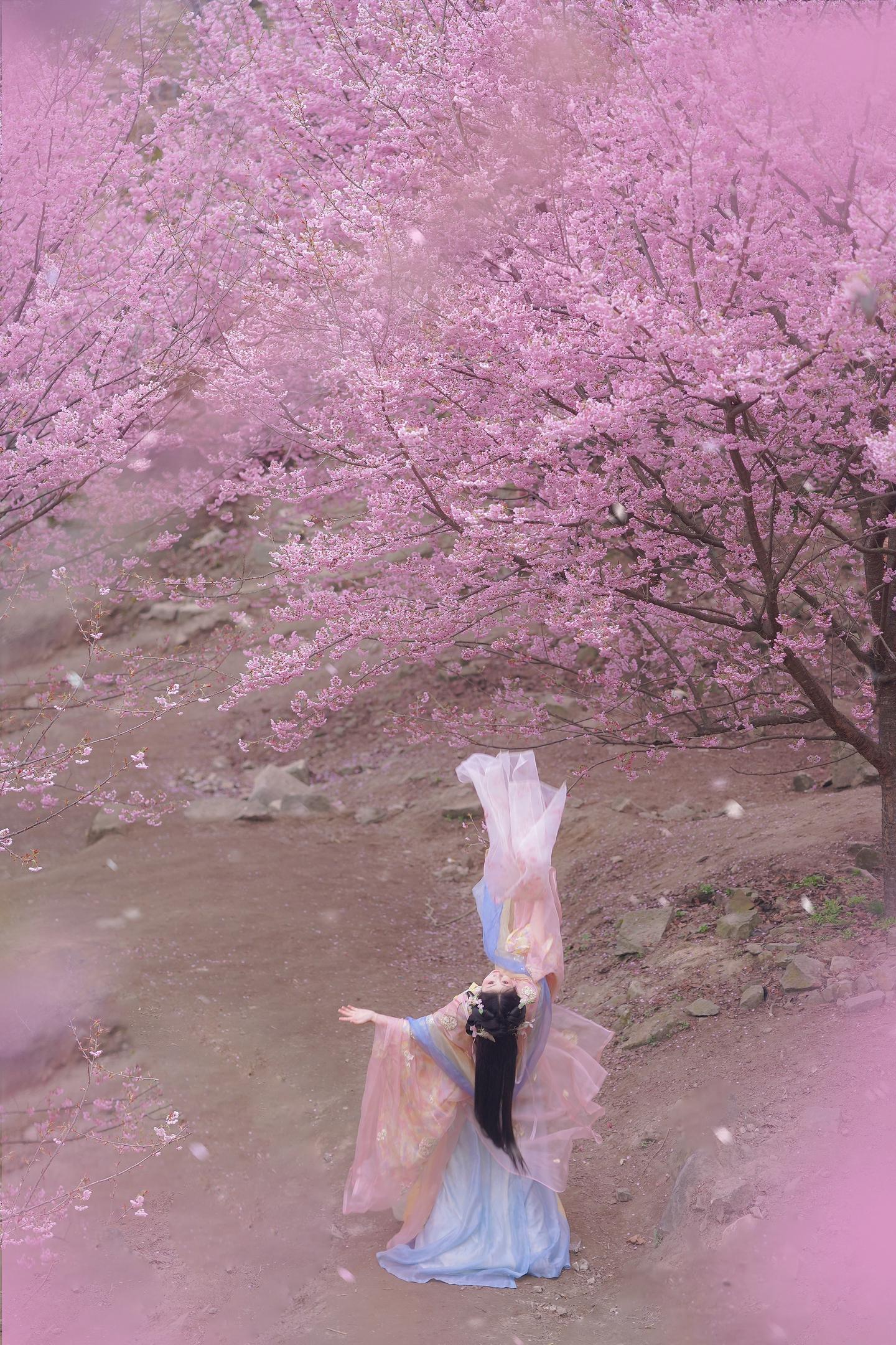 接下来的重庆，是一万次的春和景明🌸。猫山樱博园的樱花在开了，重庆的春...