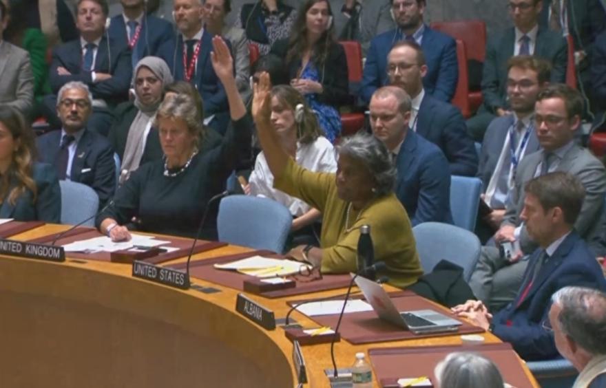 巴西呼吁巴以停火，遭美国一票否决，中方：震惊、难以置信
美国反对联合国向加沙提供