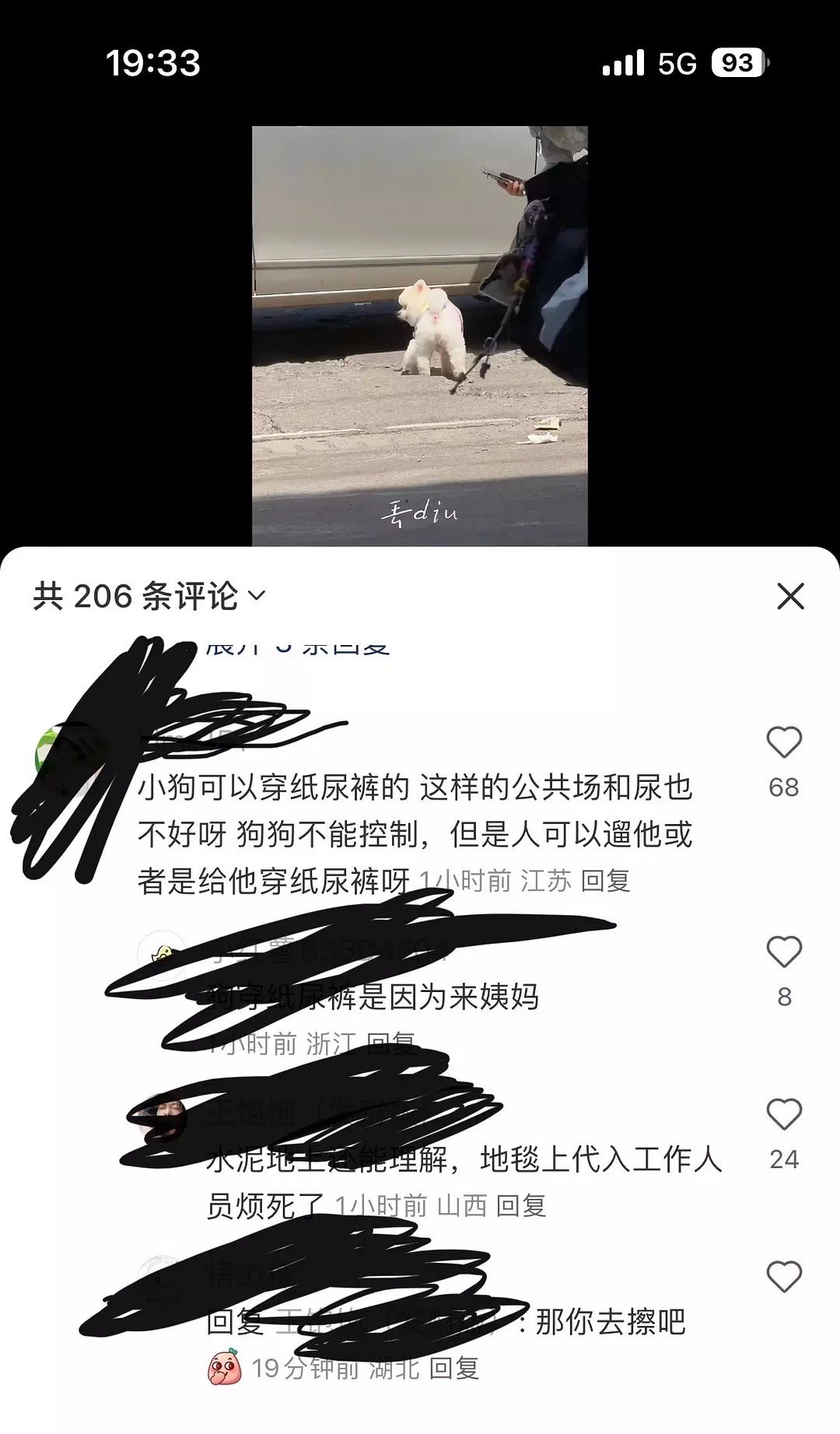 明星的狗就必须得惯着吗？ ​​​