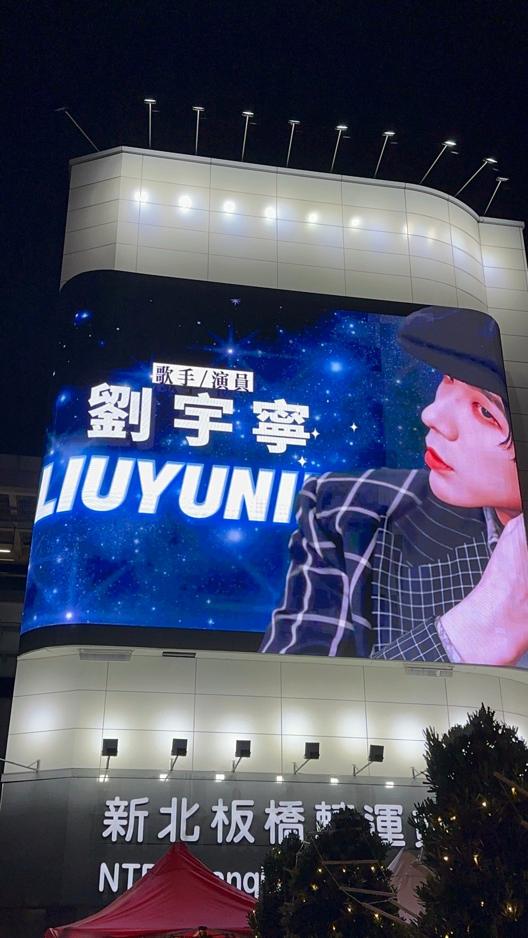 2025高产演员TOP10 ｜2025高产歌手TOP10｜摩登兄弟你的可爱，治愈