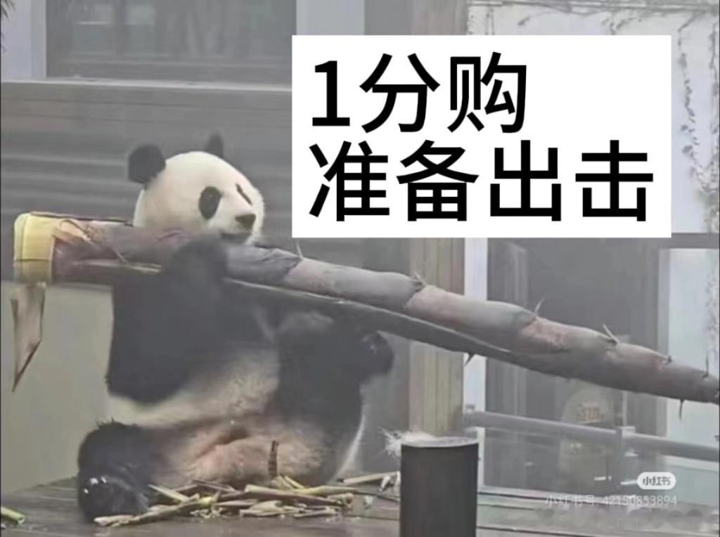 湖南卫视跨年晚会 虞 书 欣这次在跨 年 晚 会上的表 演好喜欢，作为路人，我都
