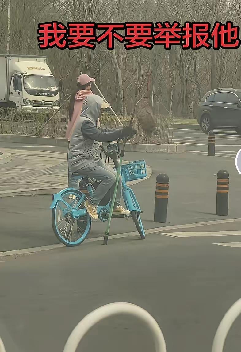 事情反常必有妖
应该举报
就算他们不是么反动组织
也该由公安解释这种大家认为可疑