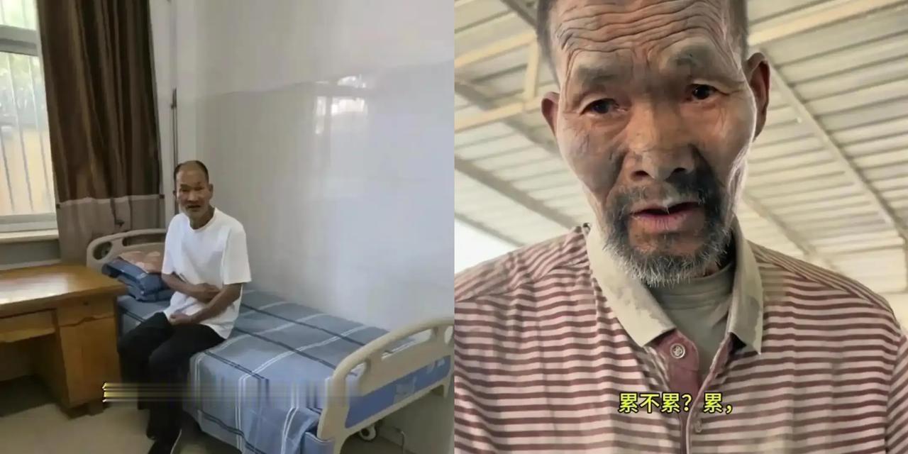 整整20年啊！那个在保定水泥厂徒手搬砖的平山老人，终于回家了！当妹妹连夜赶到医院