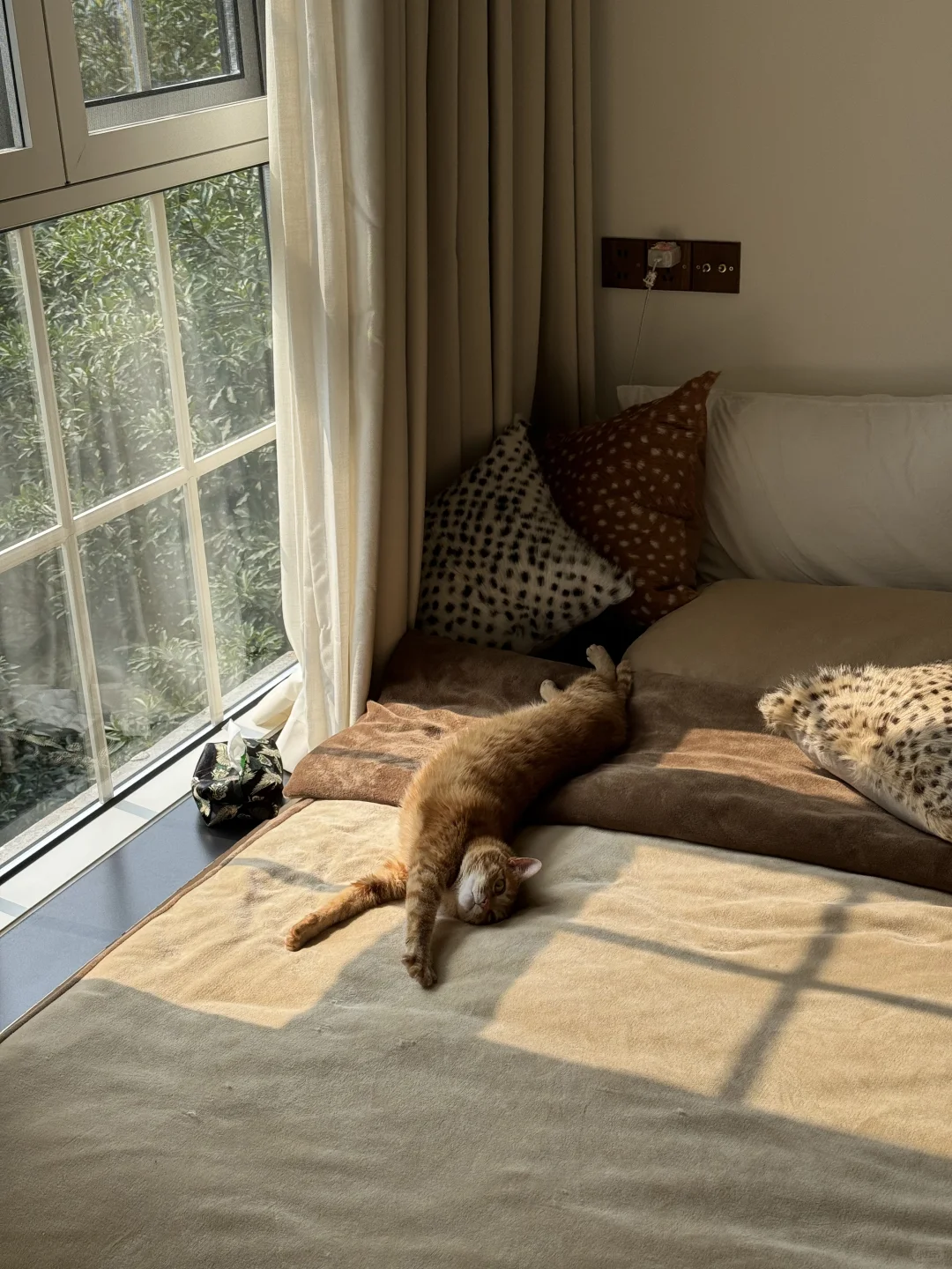 秋日傍晚18:00 昏暗的森林小屋