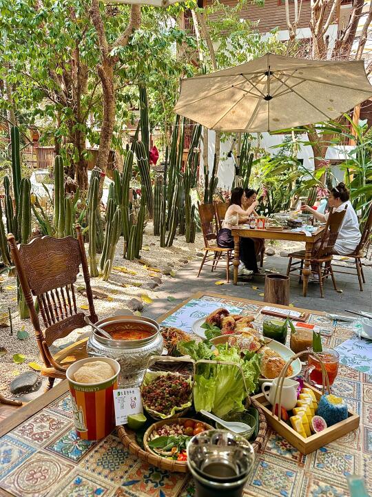 版纳人均80+解锁李小璐同款热带风情泰国菜！
