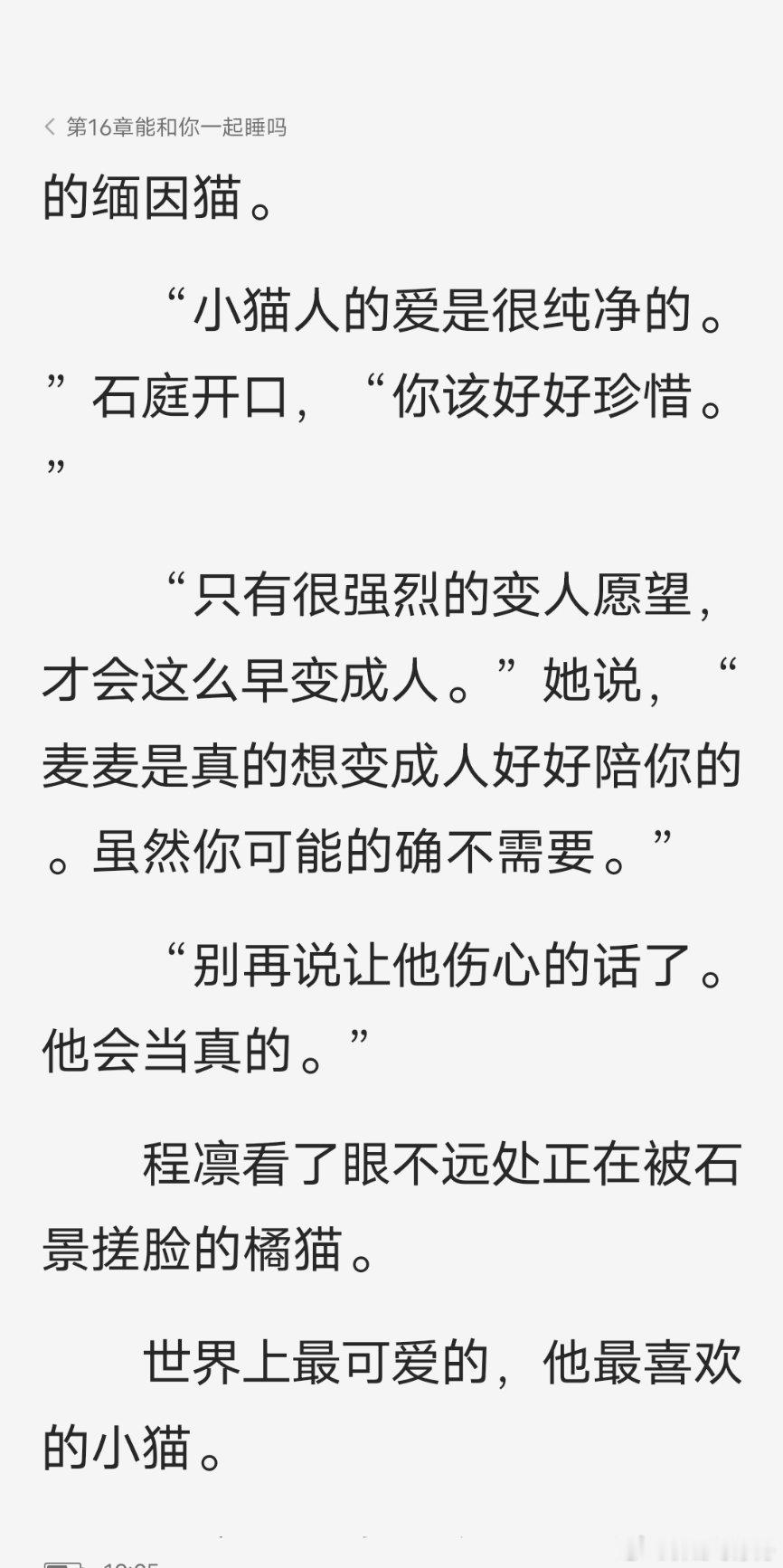 麦麦就是世界上最可爱的小猫