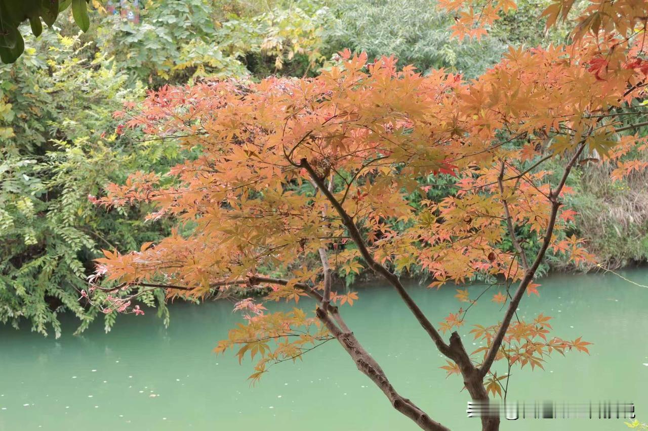 冬日生活打卡季