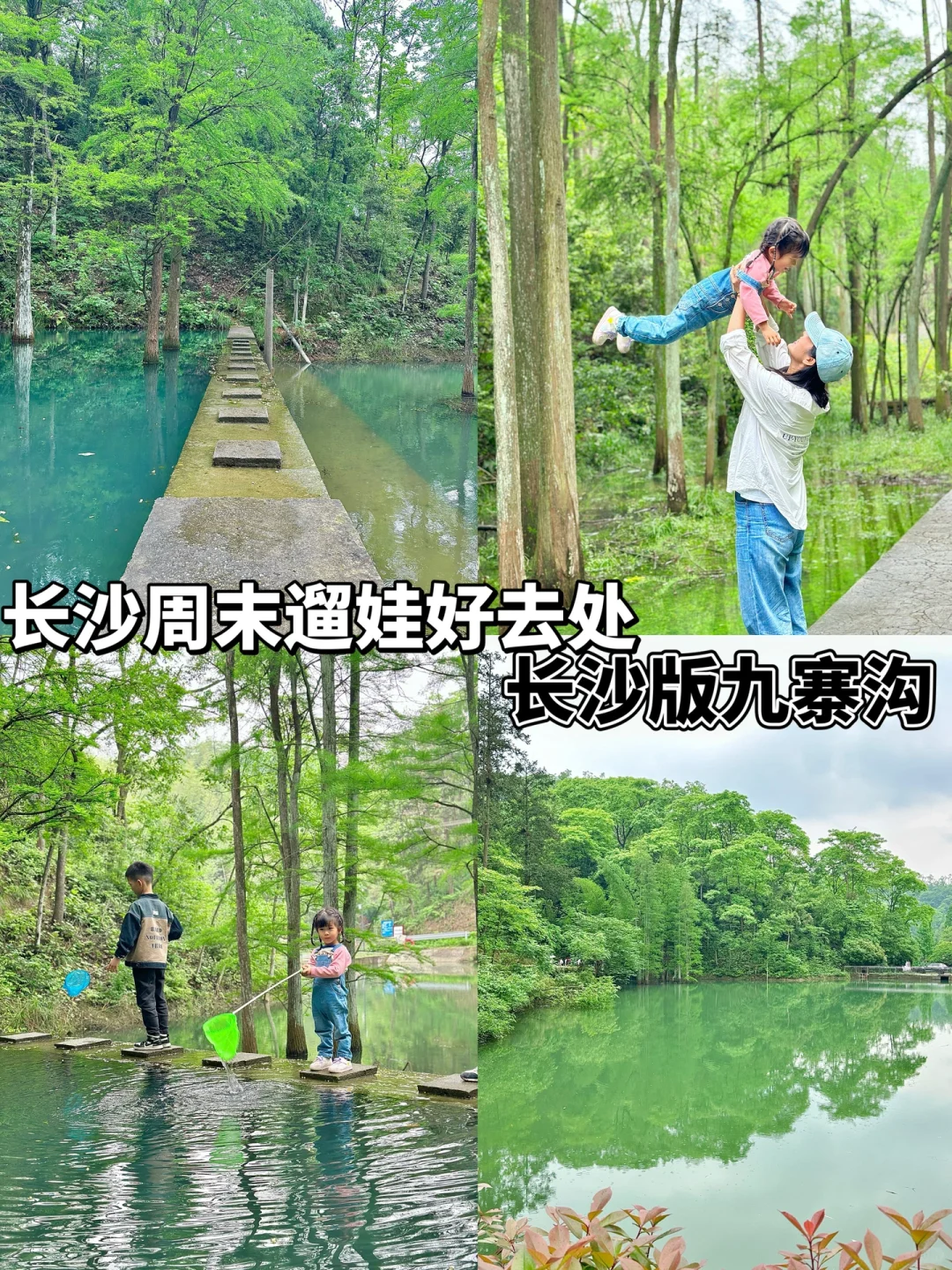 长沙周末遛娃好去处📍大山冲森林公园