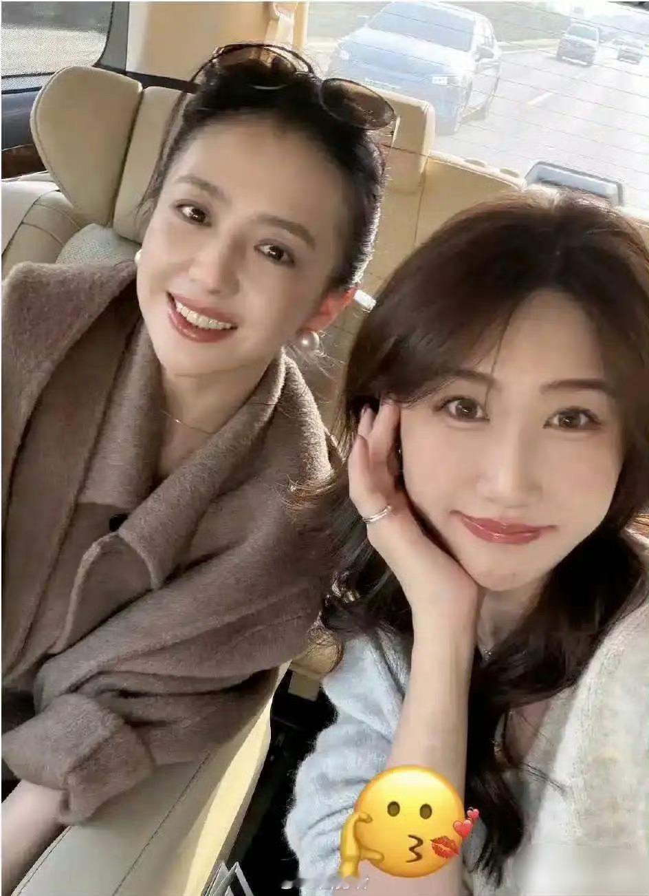 陈思诚糊涂啊 这么美的老婆居然要离婚。 