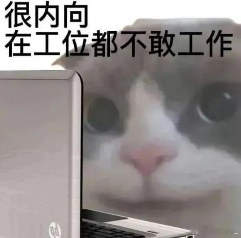 关于上班是个很奇怪的事情 上班就和坐长途飞机一样，就算你摸鱼一整天，你被固定在工