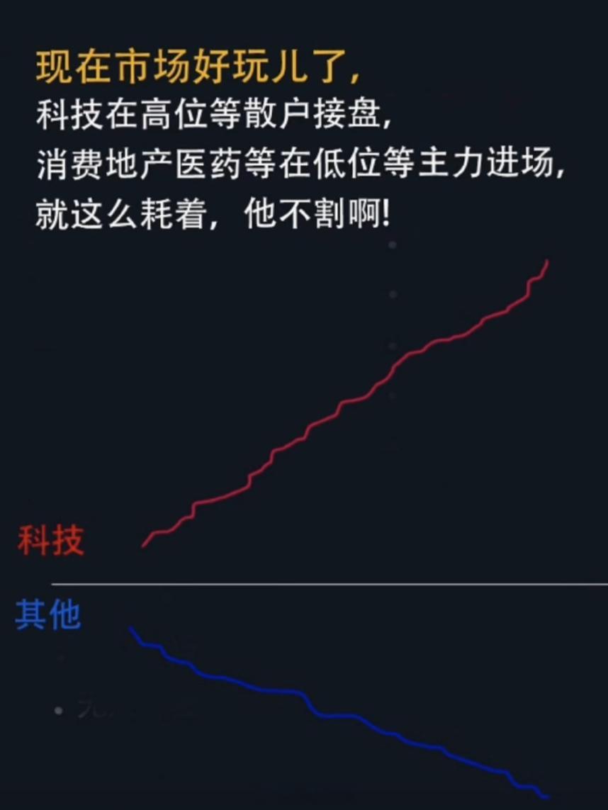 a股 现在只有两个板块：科技和其它轮动也只在科技里面轮动，科技如果结束，其它一起