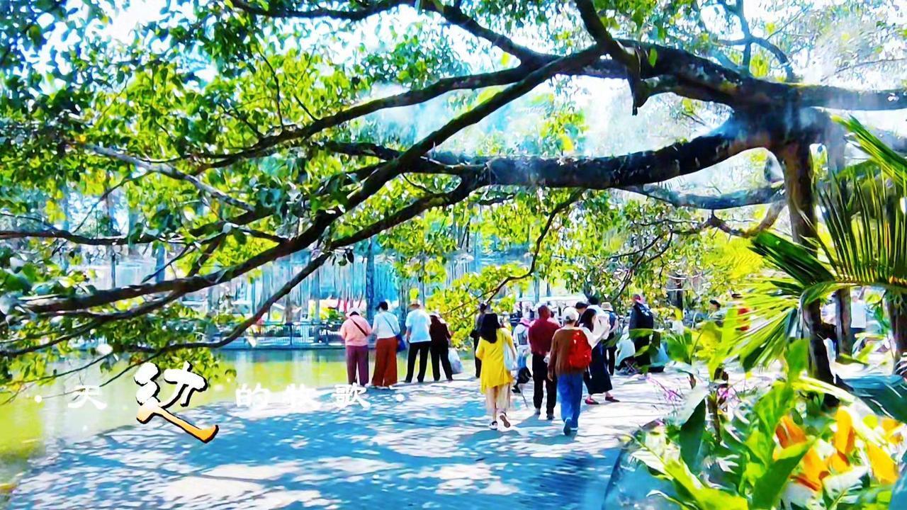 🌿版纳的颜色，藏在曼听公园的每一处角落。一半雨林一半宫苑，澜沧江的水汽里，飘着