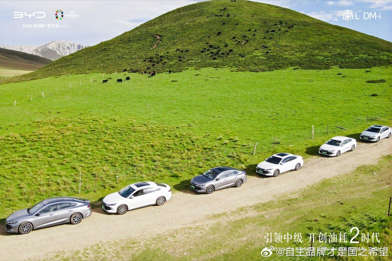 #引领中级 开创油耗2时代奔赴山川 畅享自在之旅澎湃动能 重塑性能标杆#秦L D