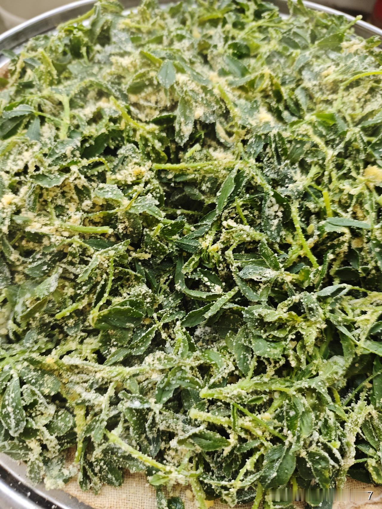 昨天下午和同事翘了会儿班，跑到距离单位很近的地方，采了一些孩子爸口中的一些“草’