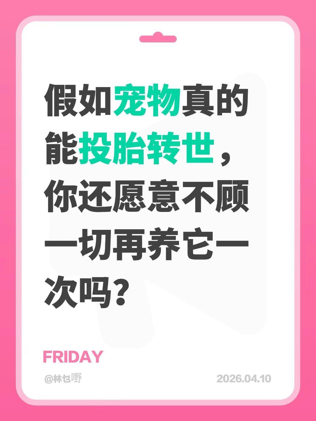 假如宠物真的能投胎转世，你还愿意不顾一切再养它一次吗？宠物 养宠 不养狗不知道养