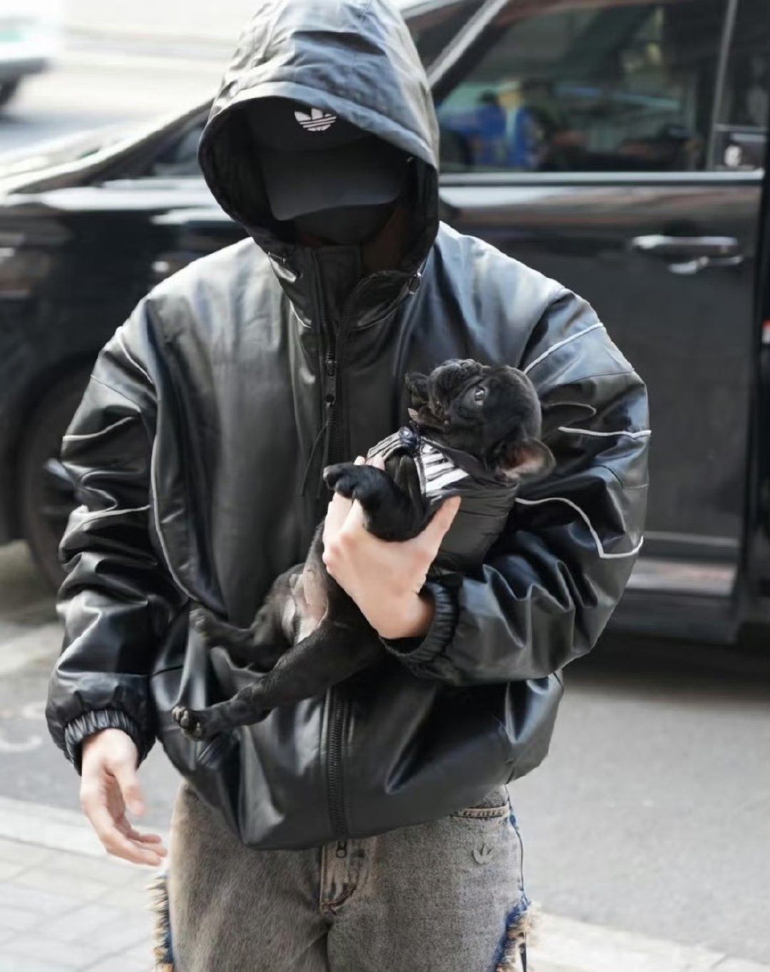 何与养狗了曝虞书欣何与确定二搭 何与养狗了！黑色小法斗黑啤正式上线，上班搭子太可