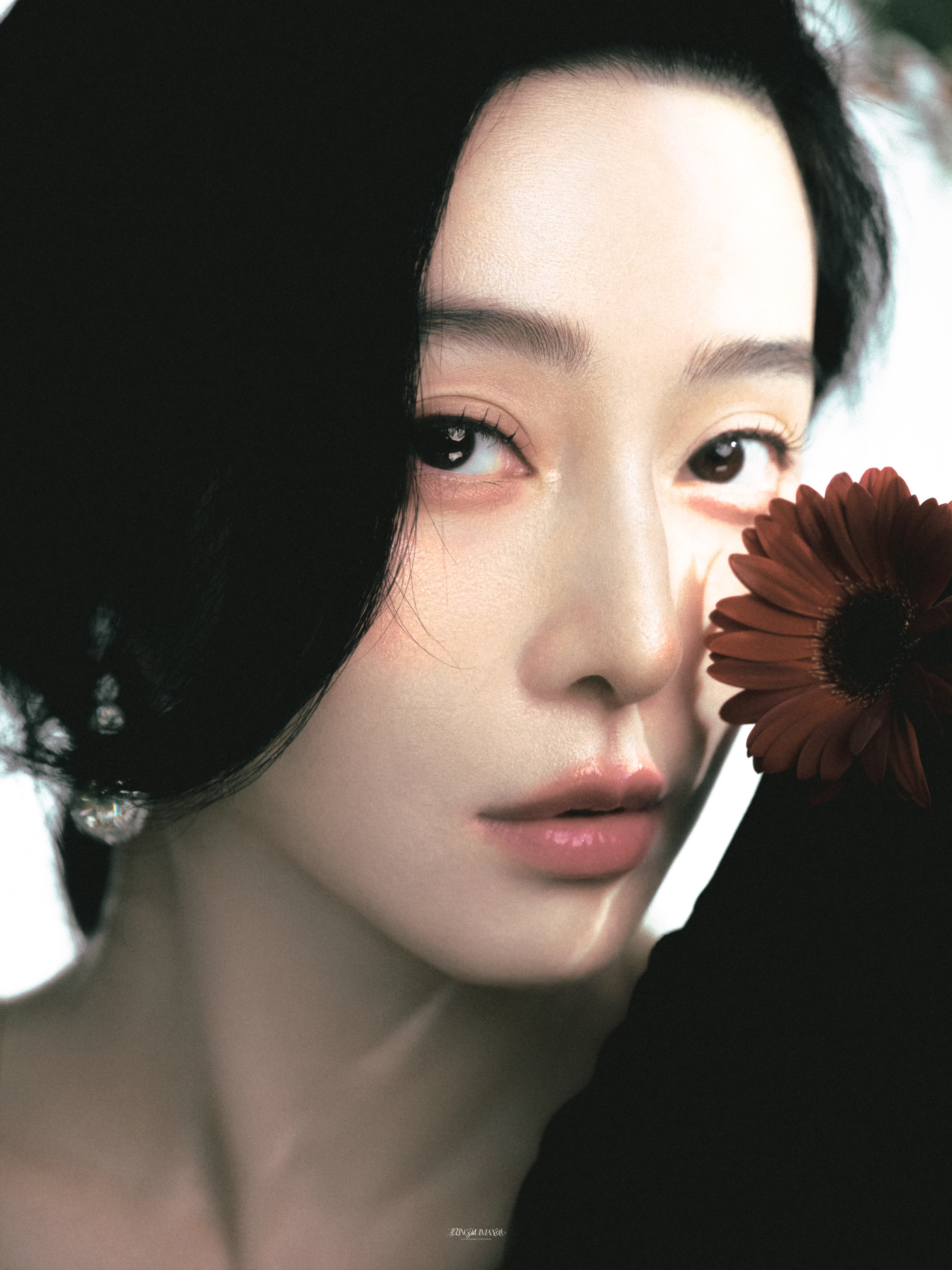 淡妆浓抹总相宜。 