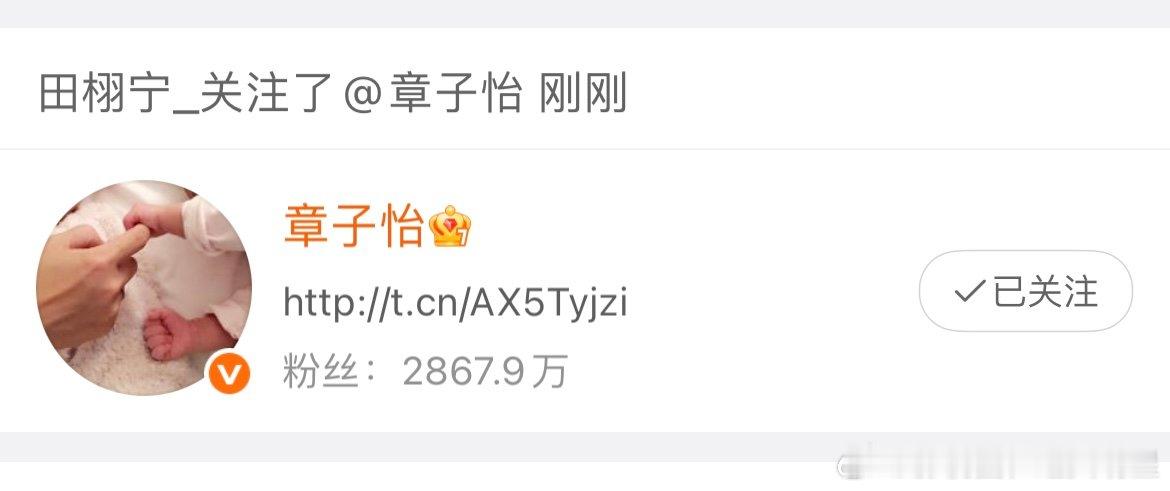 田栩宁章子怡互关田栩宁回关章子怡了田栩宁回关章子怡了 