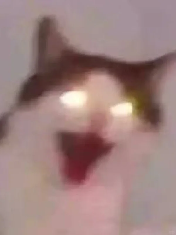 这一刻我对女朋友的爱意到达了顶峰！！！！！