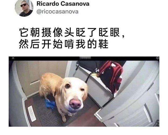 给你先打个招呼呢