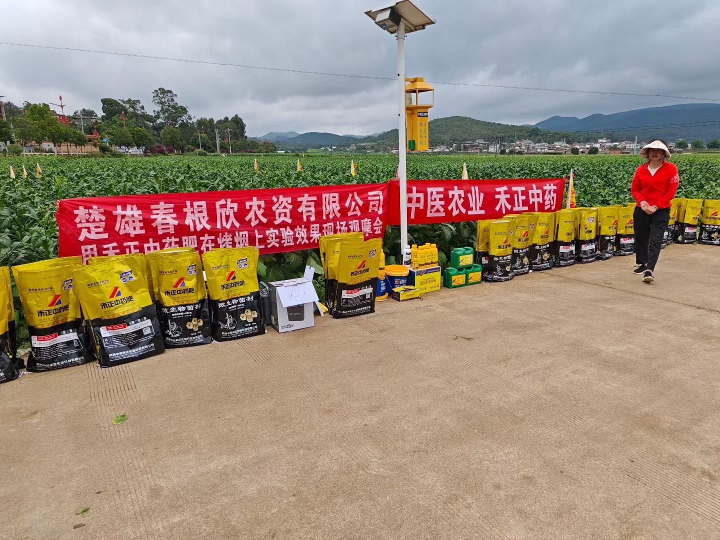 三农资讯禾正中药肥®凭借在云南楚雄州烟草等多种作物上表现突出的优异效果，收获了当