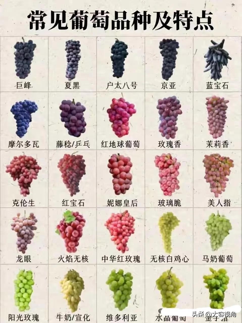 🍇 超全葡萄品种指南，快来认领你的最爱！🍇