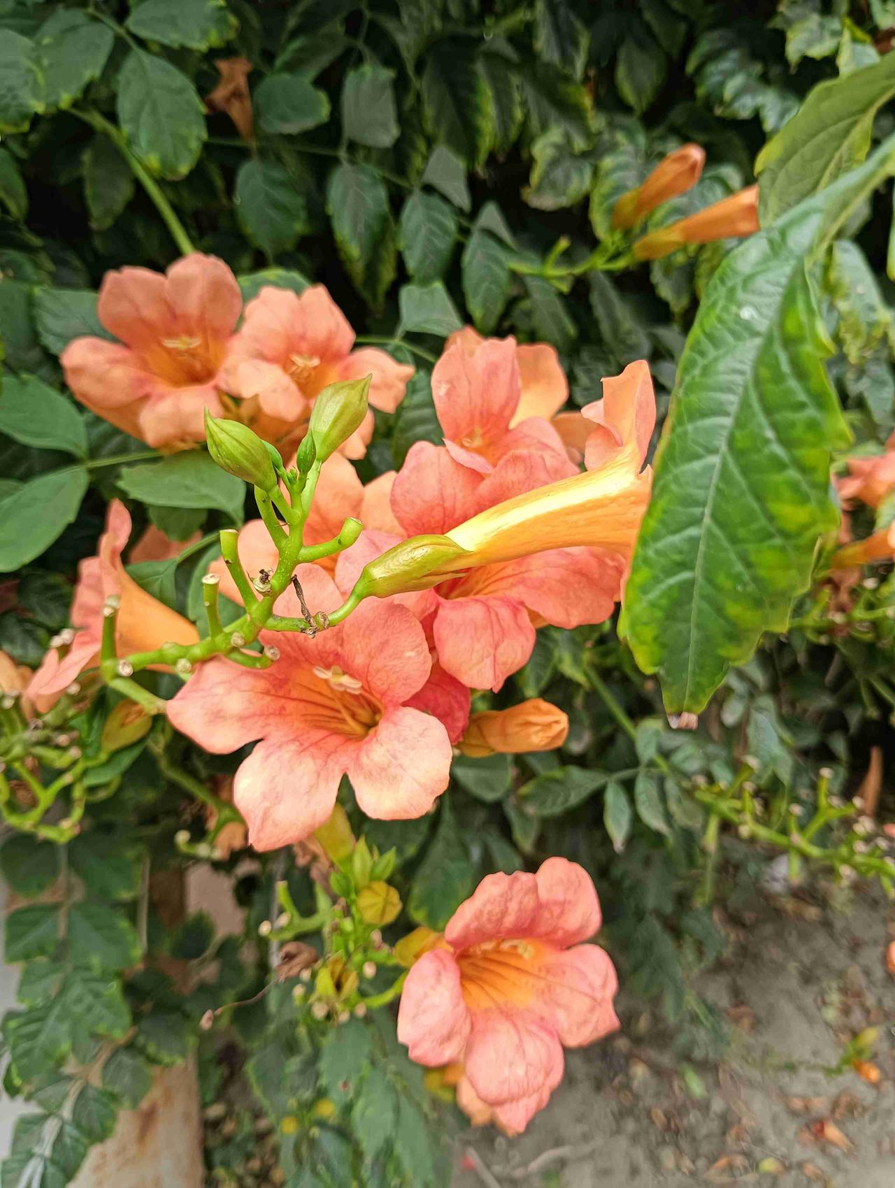 我的今日状态：😁轻松愉快
我这里的天气：🍂微风