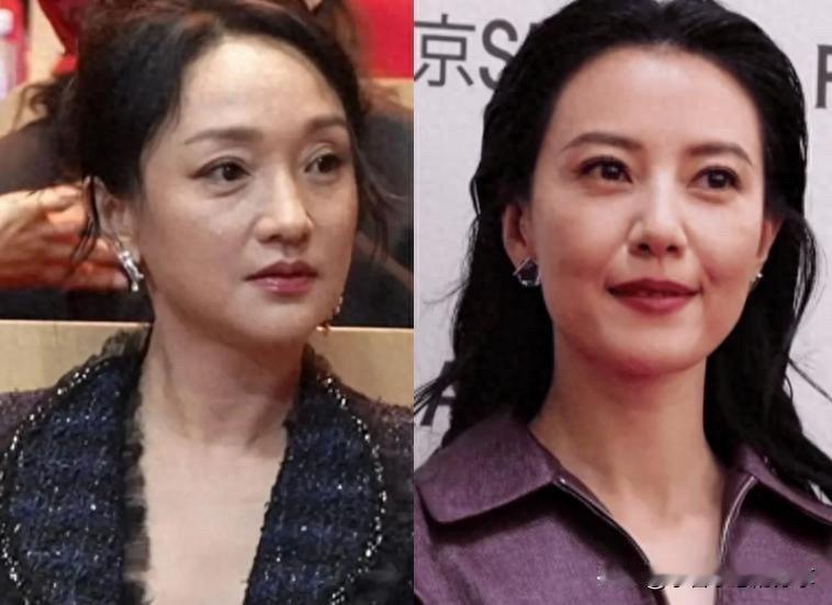 原来觉得高圆圆是顶级的那种美女，除了刘亦菲好像就是她最美了。可是现在年龄大了一点