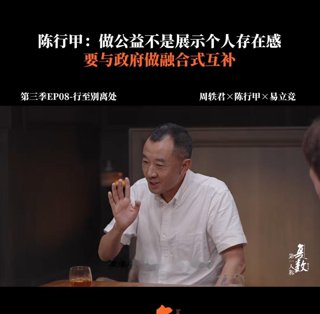 陈行甲做公益，选择了比较稳妥的方式。