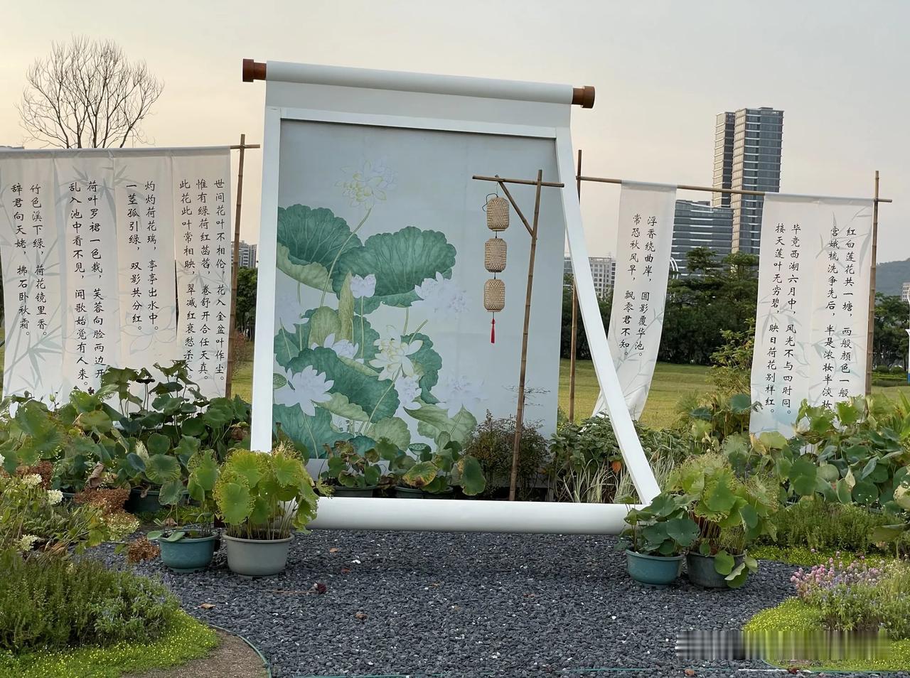 
珠海湿地公园荷花展，让你看到秋意秋景秋荷秋韵之美。