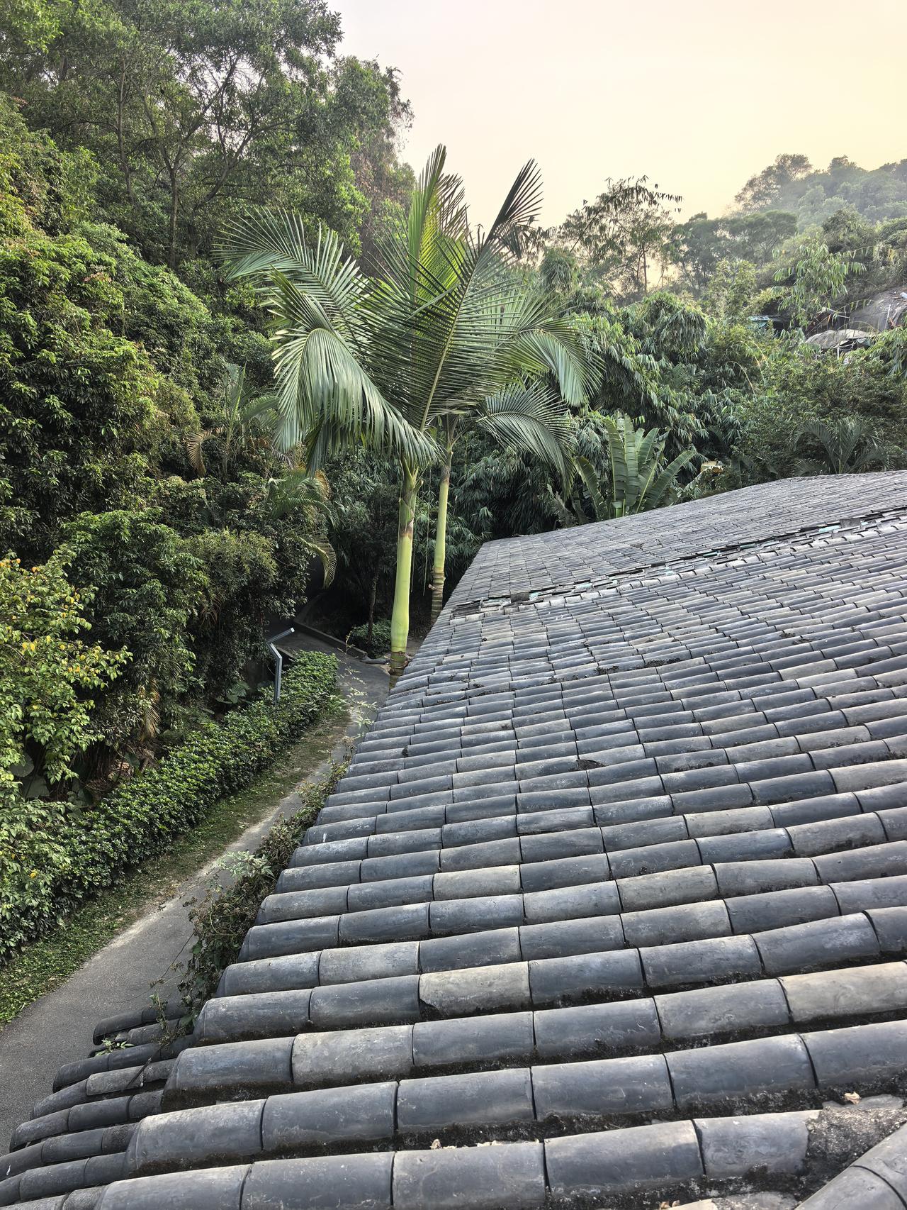 2026那个人生的转择点是否真的能来呢？
这次，我做好准备了。