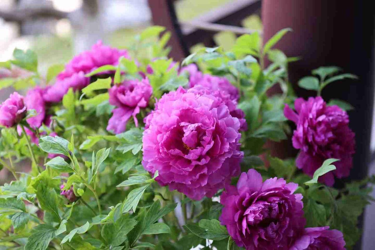 我的今日状态：🏝️旅行度假
我这里的天气：☀️晴天