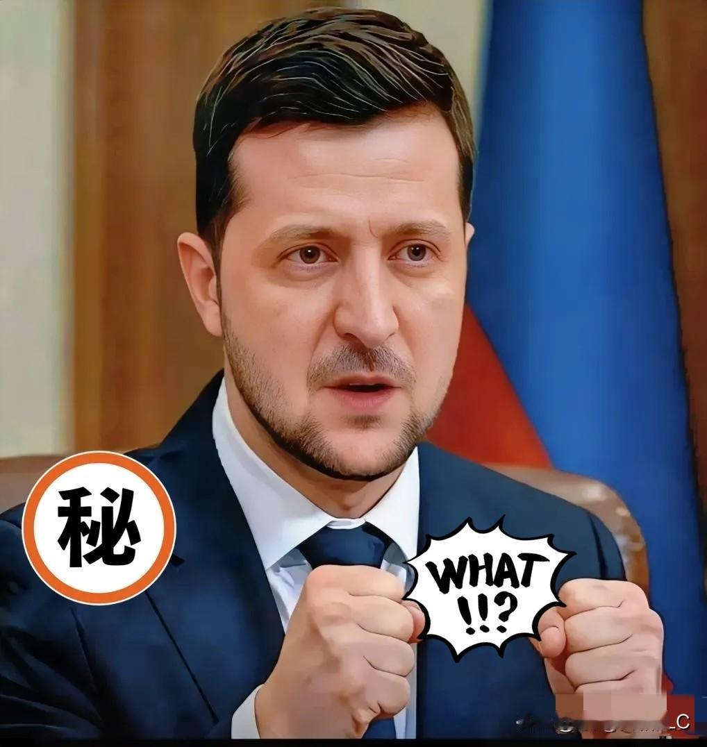 乌克兰方面消息！

俄乌和平谈判有戏了？泽连斯基想见特朗普增加筹码特朗普想拿协议