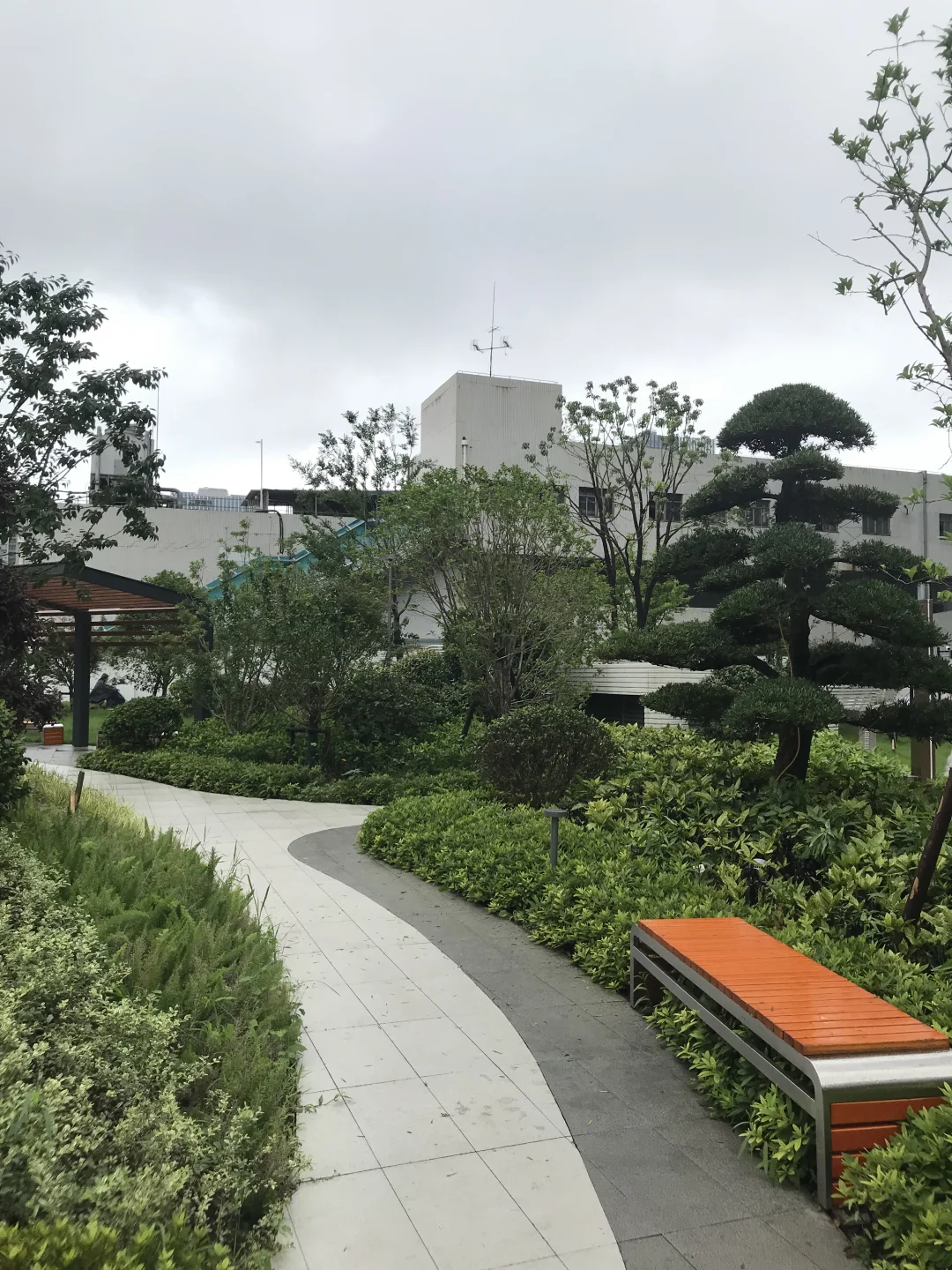 闲来无事到处逛逛