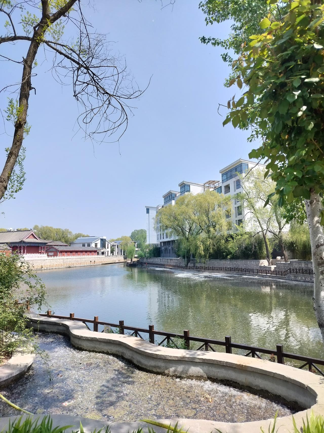 今天终于把药线拆掉了，因为一吃饭缝的那个线头，那就有点硌的慌，虽然不用这一侧吃，