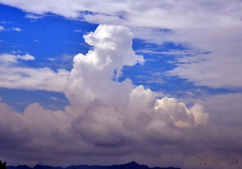 天阴云暗柳含笑；
风雨苍穹无惧狂；
沧海望月真陶醉；
蛙叫风景在当季；
魂穿云朵