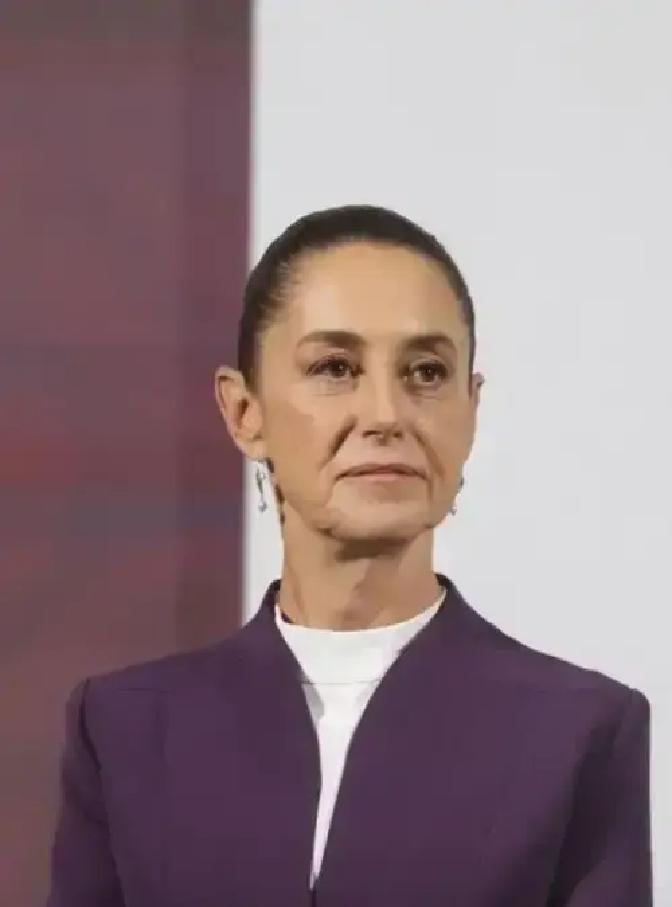 跟着美国一起对中国加码关税，墨西哥这步棋看起来走得挺别扭。
 
墨西哥前段时间宣