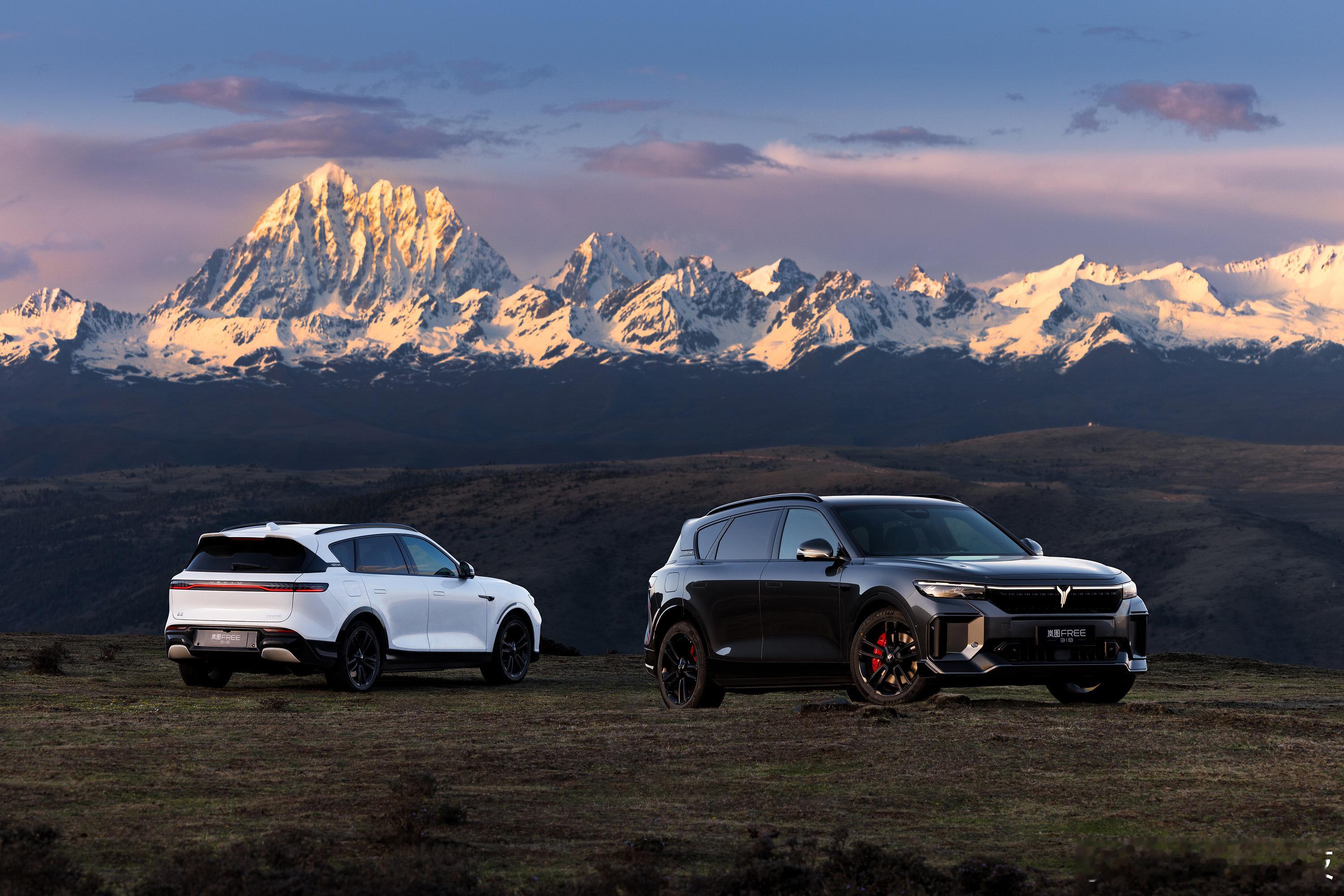 #00后出手了老板悬崖营业# 真敢拼啊，悬崖边自动泊车，看来对自己的产品很有信心