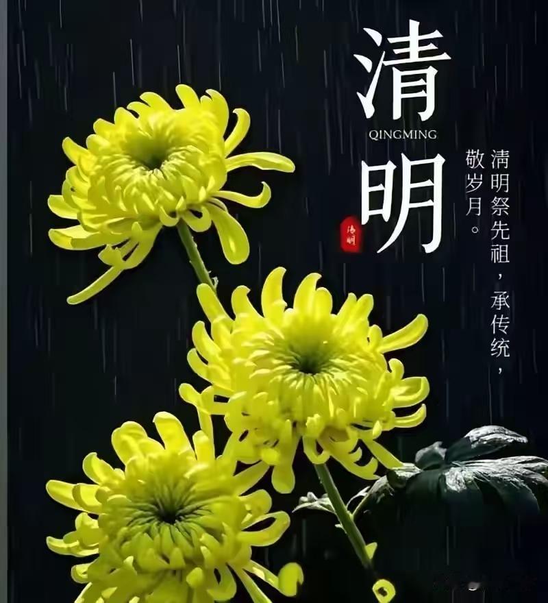 跪
 
清明的石碑冰冷。
离开故土五十年的老男儿，
向着父母的坟，
俯身。
 