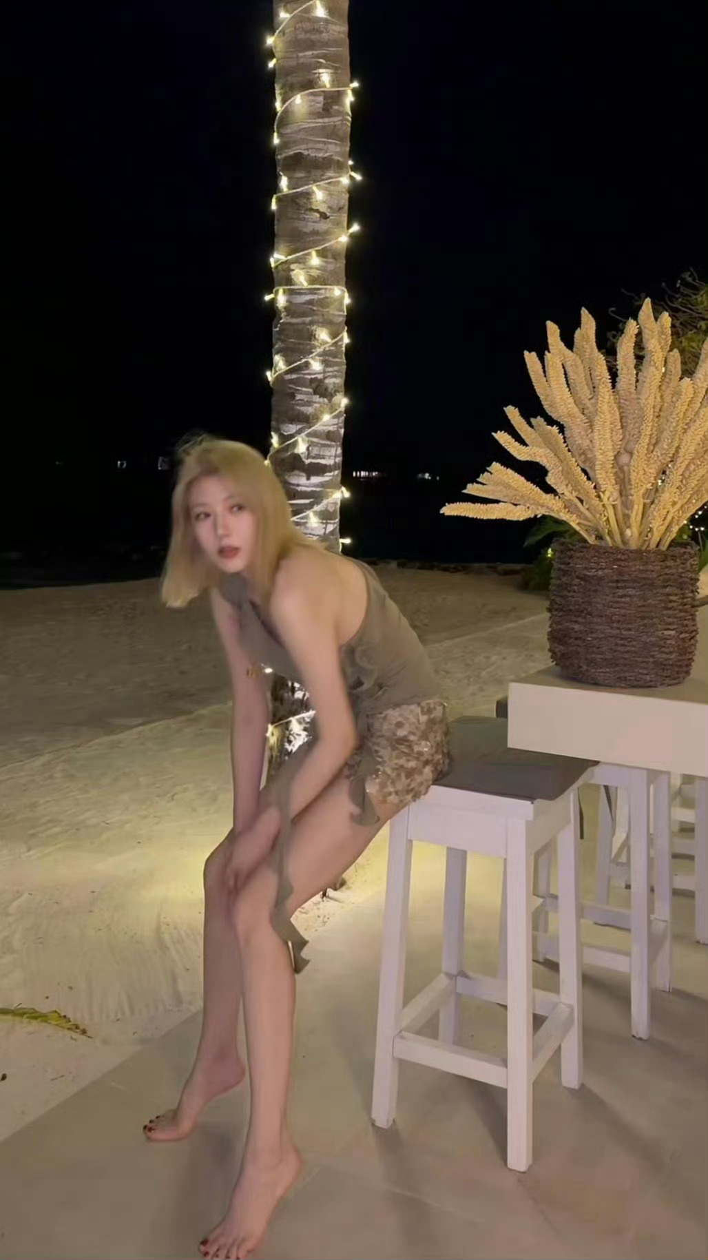 网红大鹅鹅 x 最近都给了她