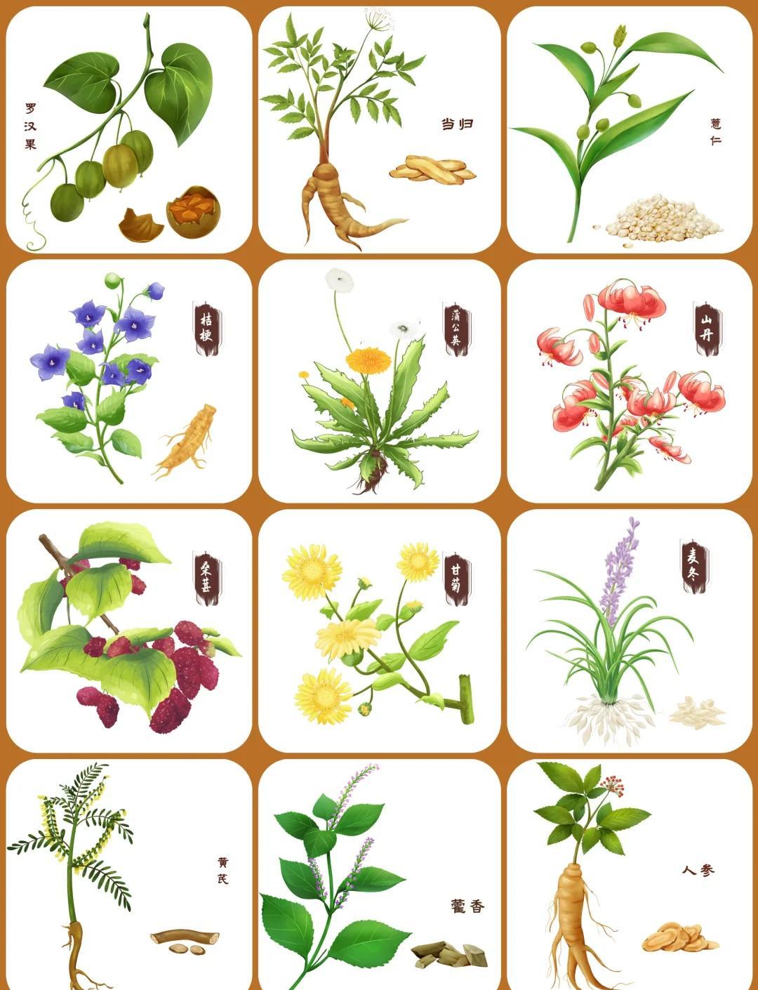 《药食同源存在的问题》

 3 .违规添加中药材
      在药食同源食品市场