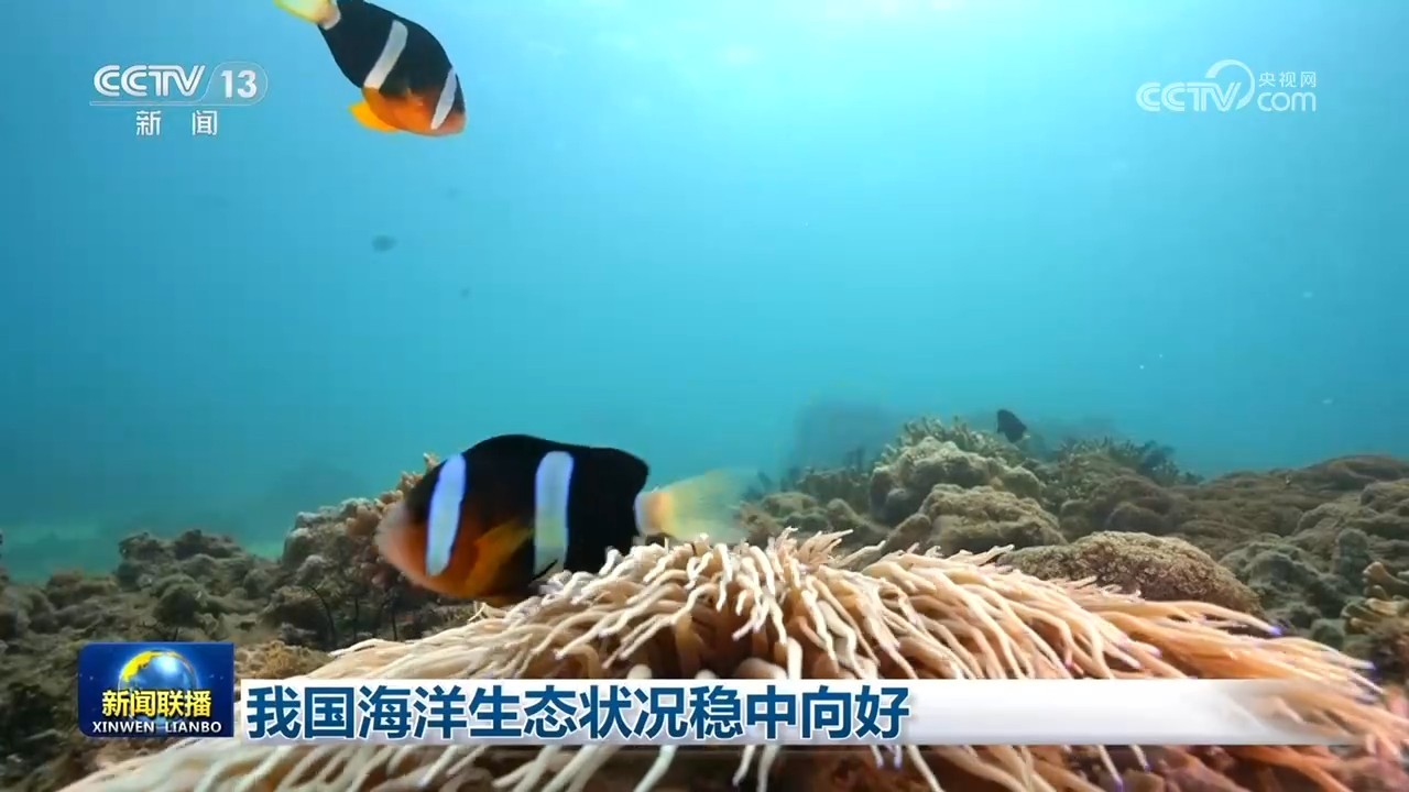 我国海洋生态状况稳中向好