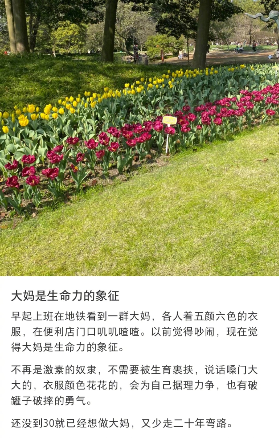 #还没到30就想做大妈了#大妈就是生命力的象征，嗓门大大的，衣服颜色花花的#我的