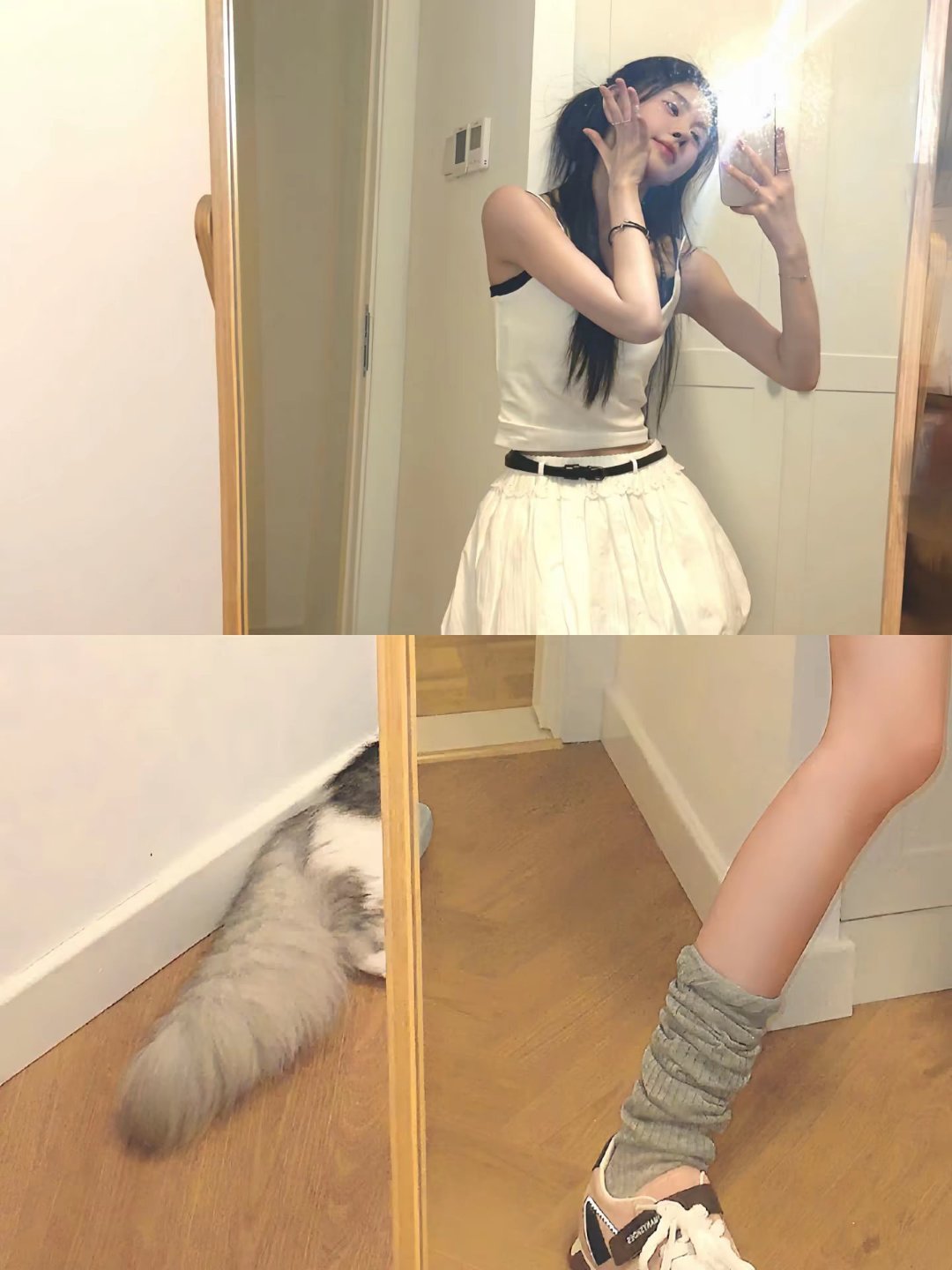 这是那只猫？嘻嘻？哈哈？ ​​​