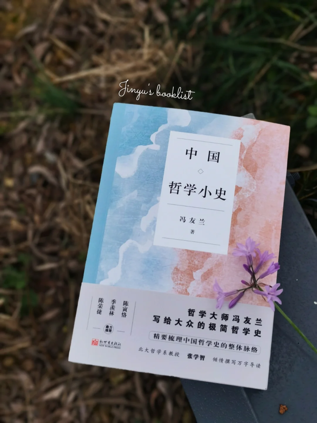 举重若轻🌿哲人冯友兰带你浅尝中国哲学史