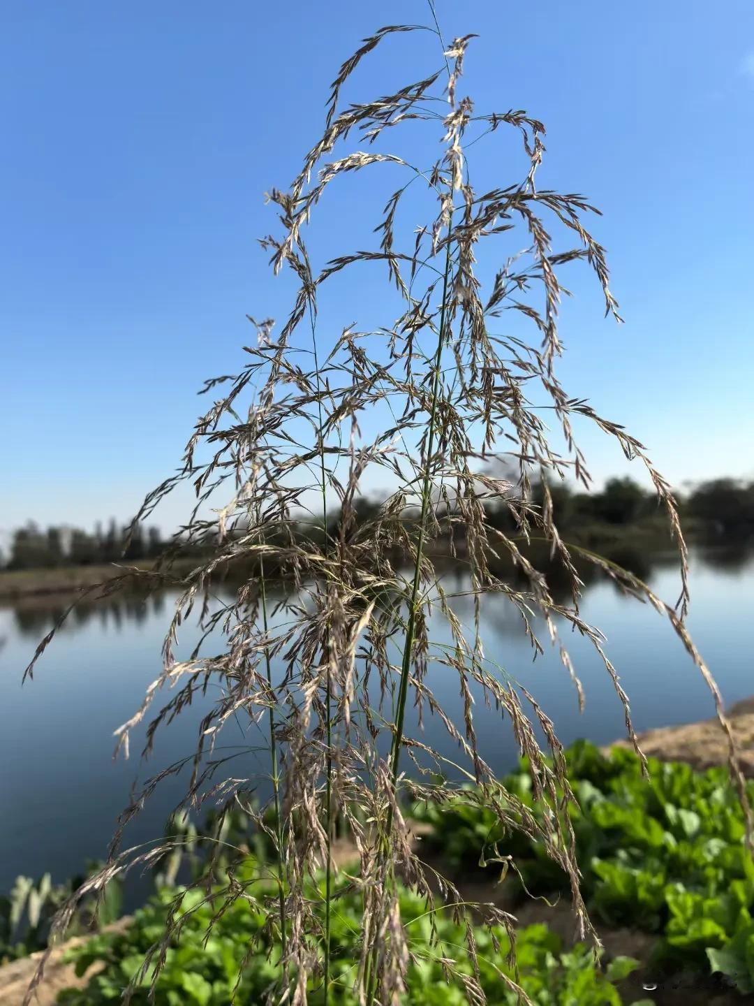 你觉得性格会改变你的人生命运吗？
人的一生就那么短短3万天，有些人风流快活一辈子