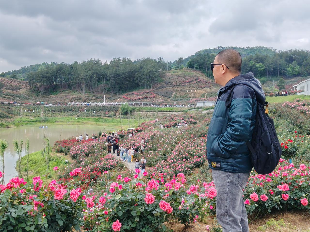 漫步花海，感受大自然的浪漫与宁静。🌸🍃