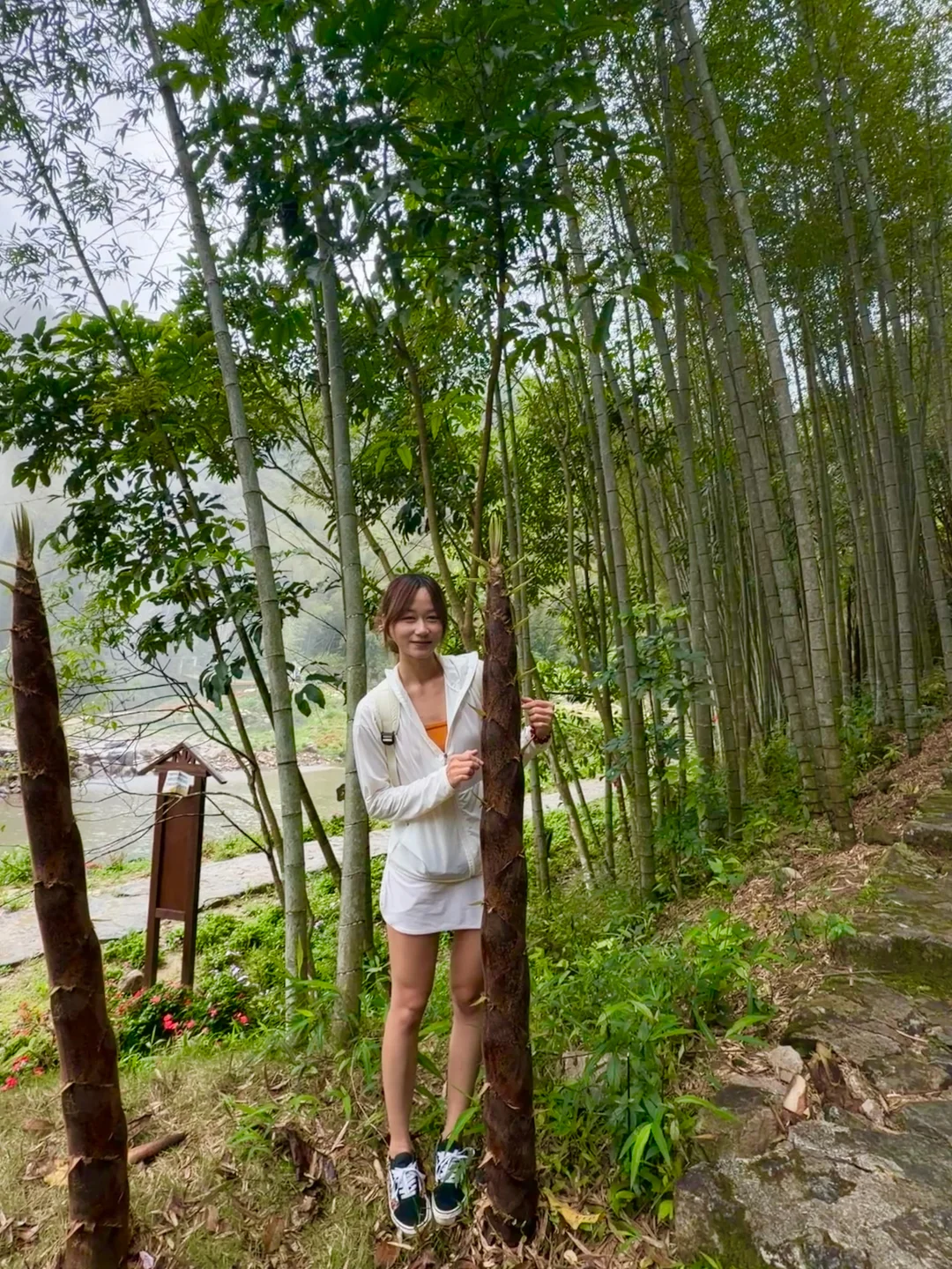 藏在深山里的竹林🍃