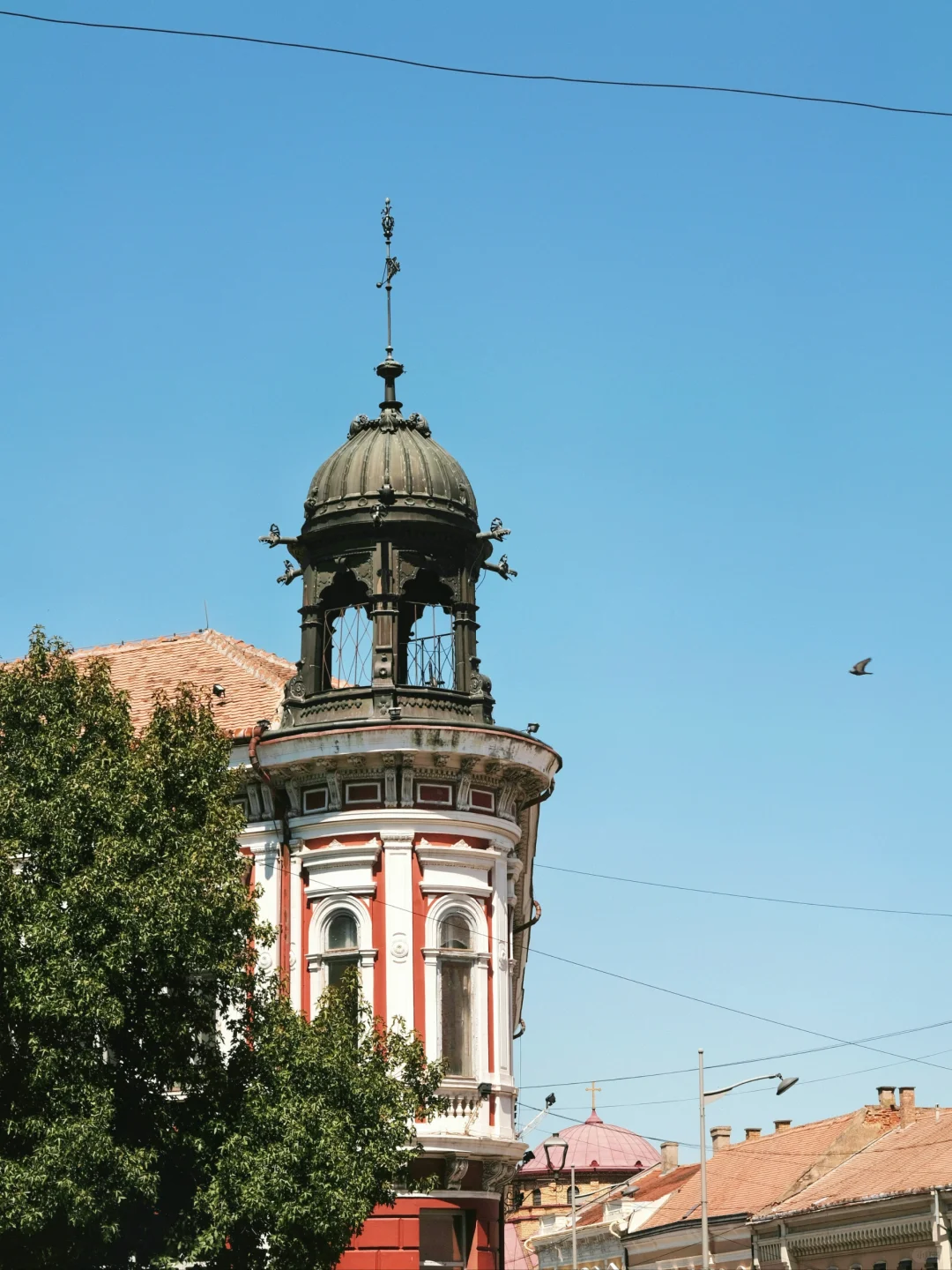 塞波黑已回❗崩溃了😭说一些有用的大实话