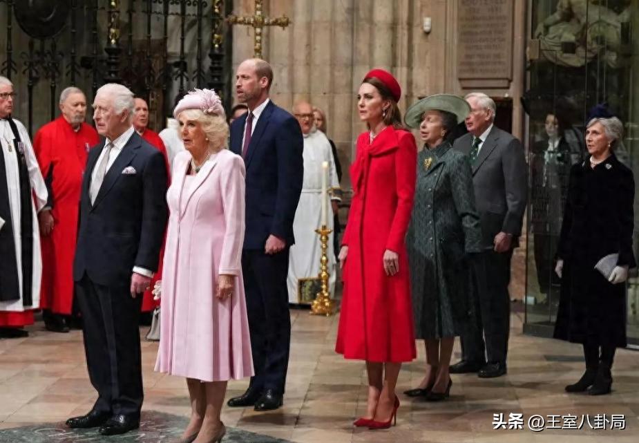 英联邦日，只有卡米拉王后一个人的礼服穿的像租来的一般。
她倒是很懂得妻妾之分[奸